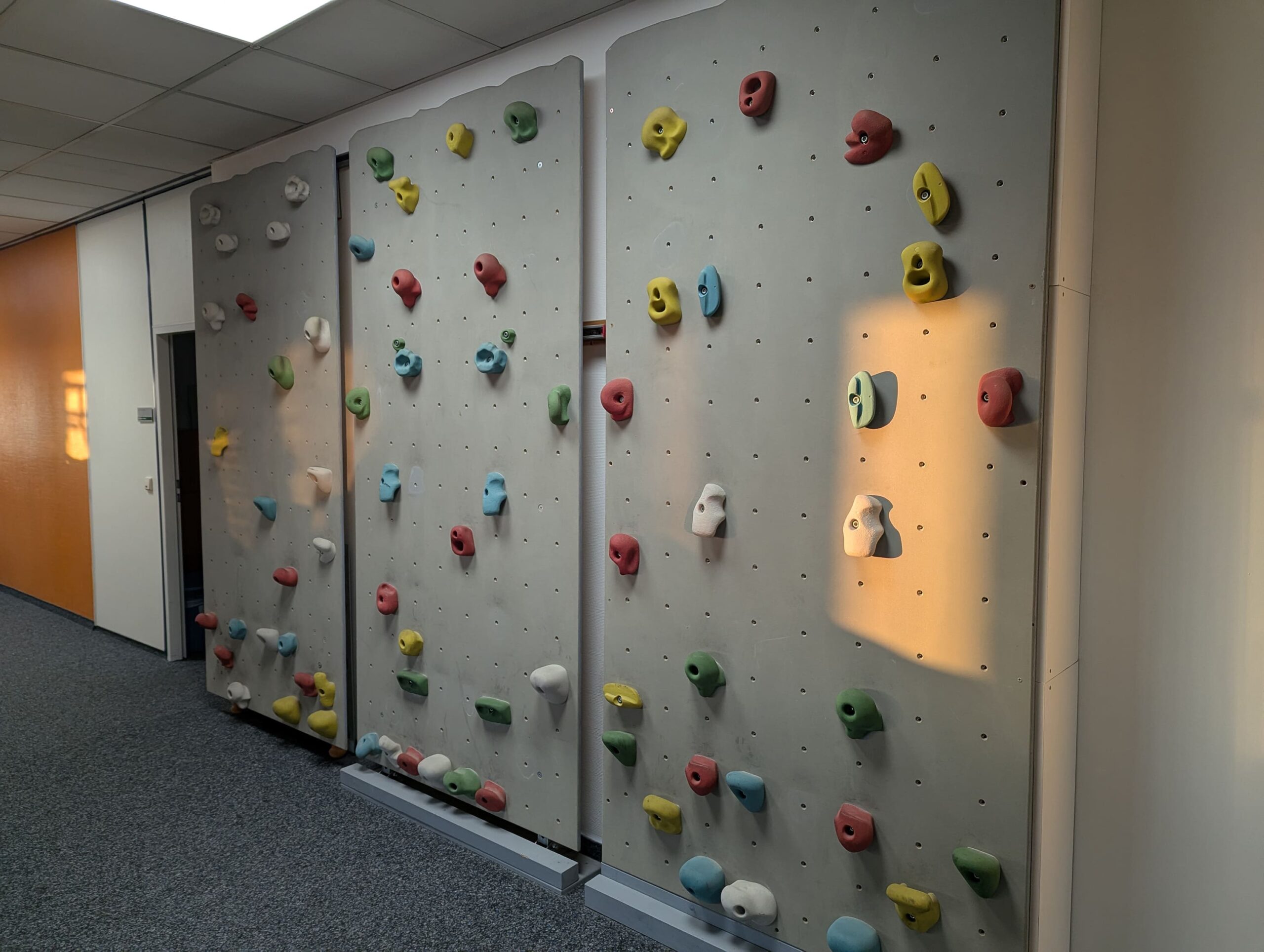 Rehazentrum Wiesbaden-Rheingau Kletterwand